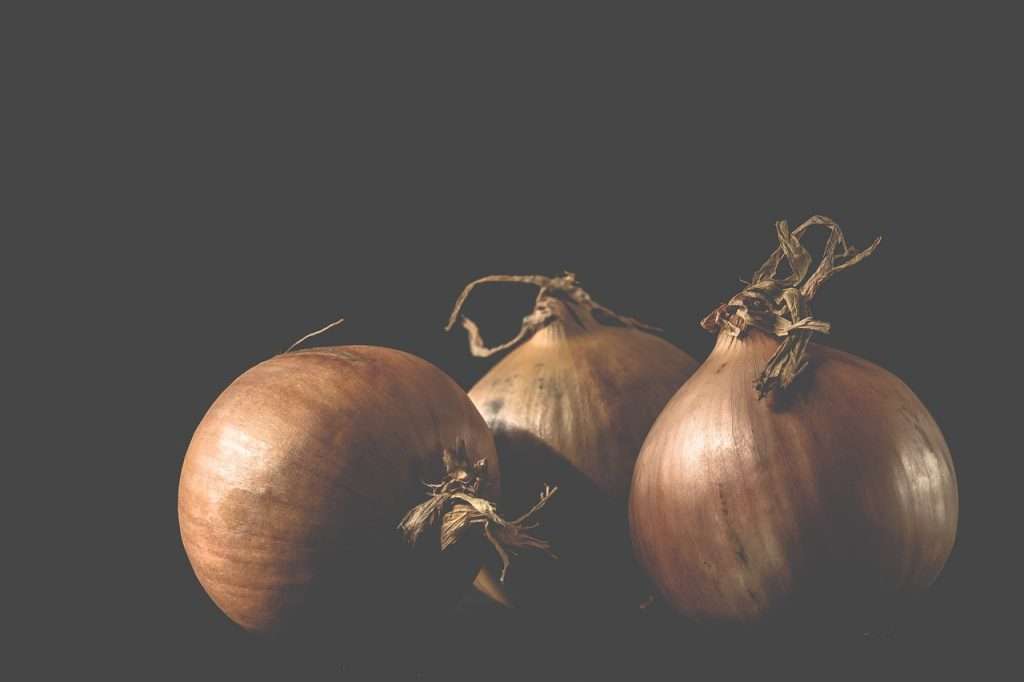 mariya farms onions