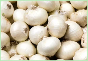 white onion