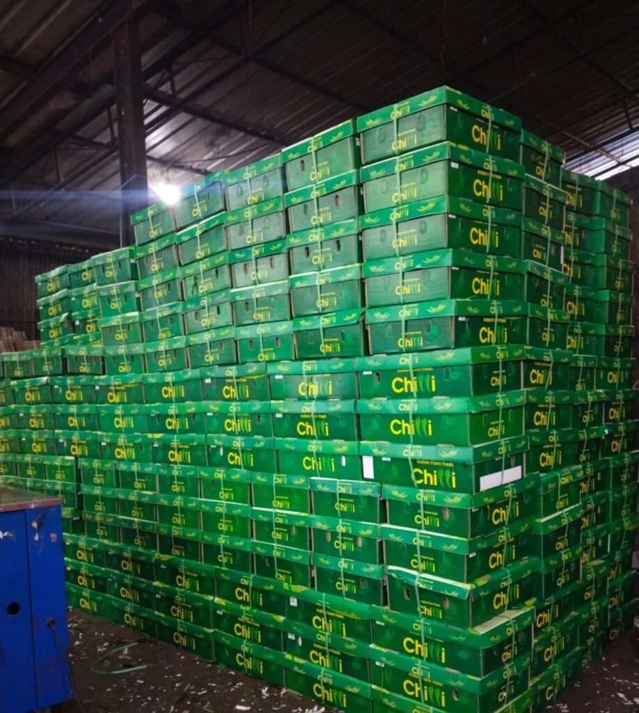 G4 Green Chilli Boxes