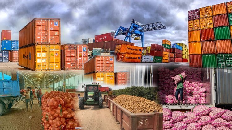 Red Onion Export