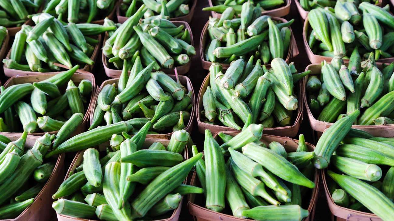 Top Okra Exporter and Supplier in Thohoyandou, South Africa