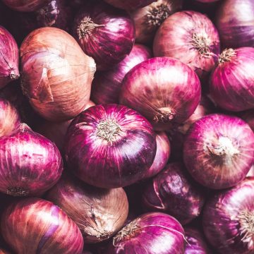 MariyaFarm top Onion exporter in india